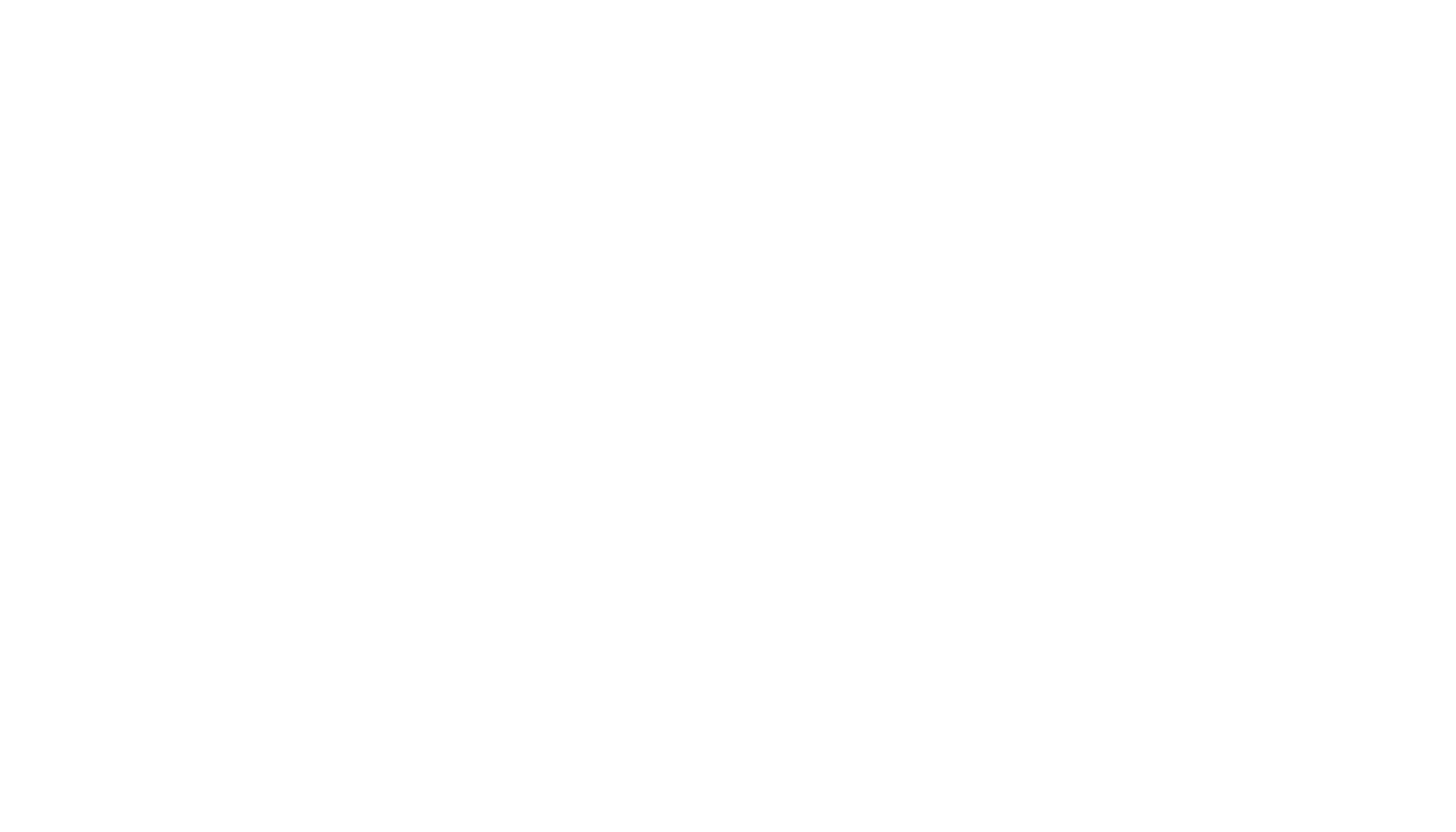 VIC 2024 White Logo