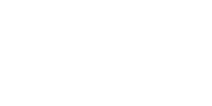 VIC 2024 White Logo